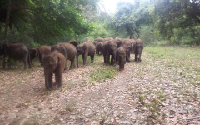 Domain Elephant Bungalow