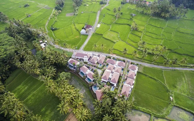 Dedary Kriyamaha Ubud