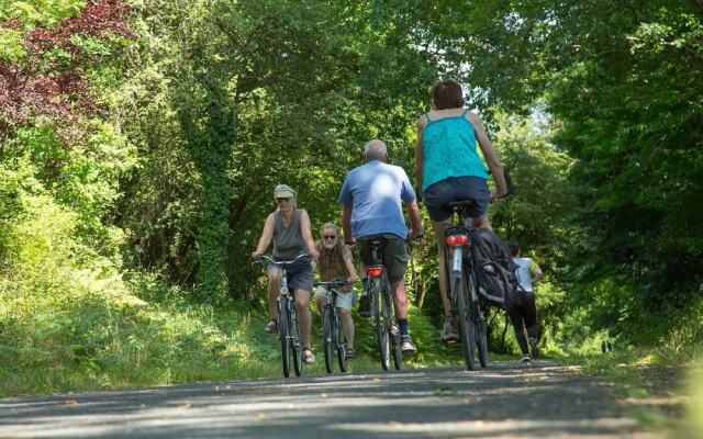 Camping Domaine Des MATHEVIES