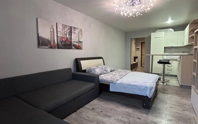 Апартаменты Privi House на улице Льва Толстого 34