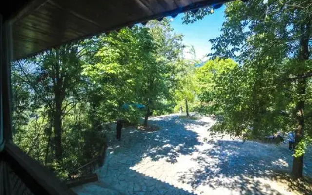 Wudang Chuxing homestay