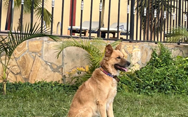 Stasumo House Arusha