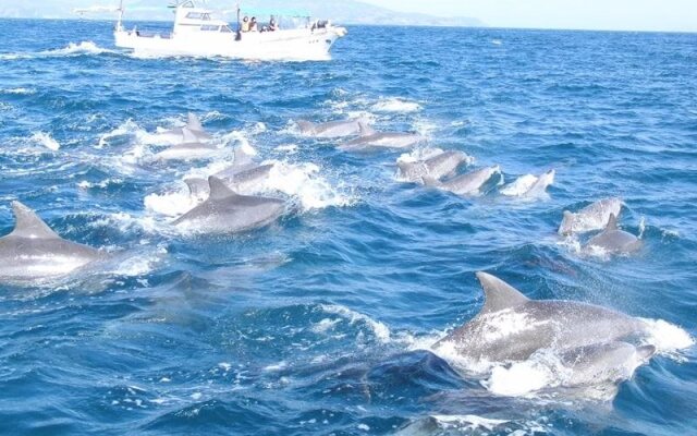 Minshuku Tairyoumaru