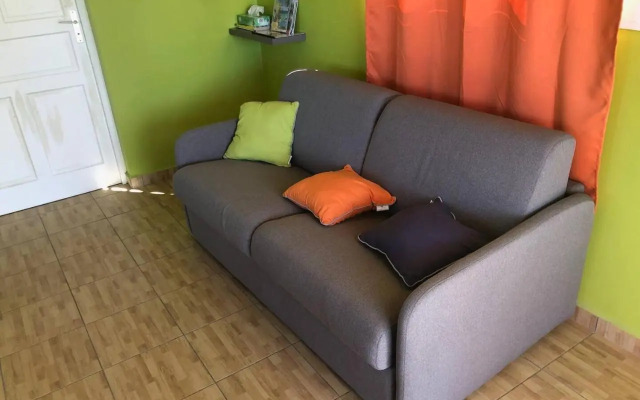 Creole Nest