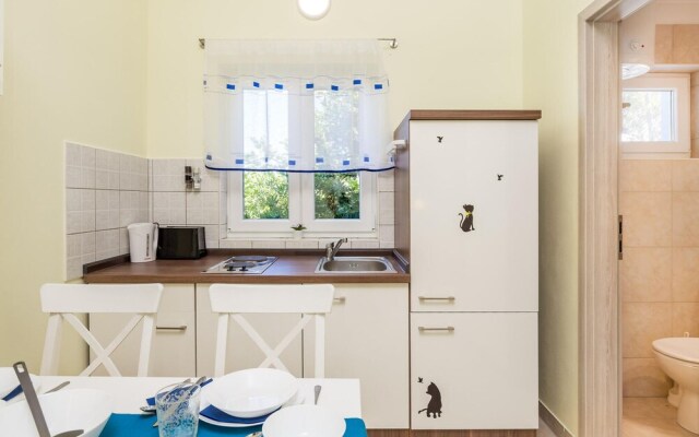 Beautiful Apartment in Kosljun With Wifi and 1 Bedrooms