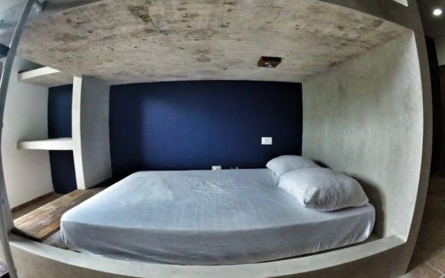Lobo de Mar Hostel Playa del Carmen