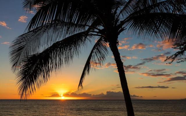 Napili Shores E240