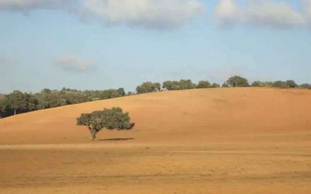 Herdade da Fonte Branca