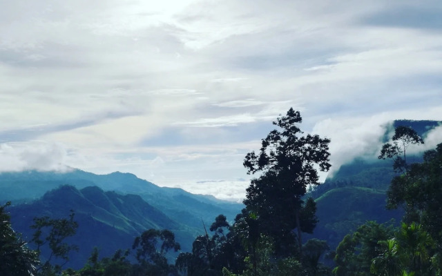 The Kanro Ella