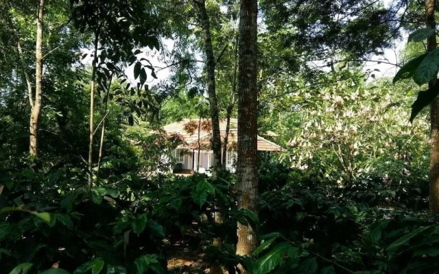 Whispering Woods By Rai Hospitalities