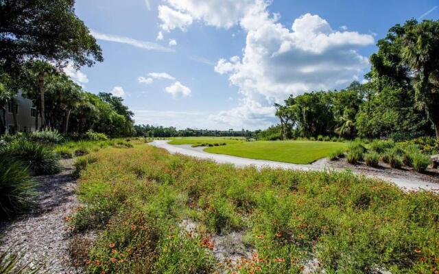 Ibis At The Sanctuary A302