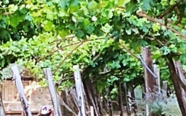 Agricamping Ponteraggio n.1