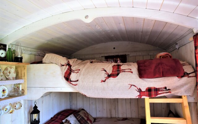 Meadow Shepherds hut