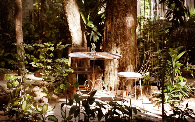 Hotel La Semilla, Playa del Carmen, a Member of Design Hotels - Adults Only
