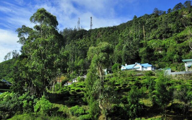 Summer Glow Guest - Nuwara Eliya