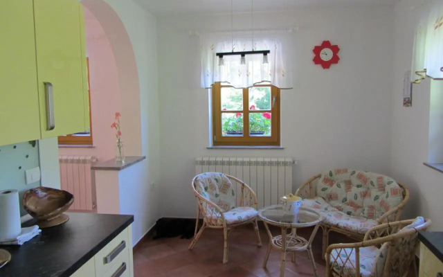 House Dolenja Trebuša