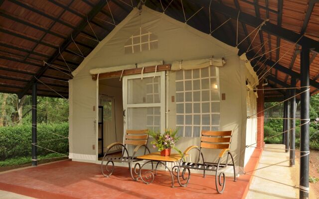 Embassy International Riding School
