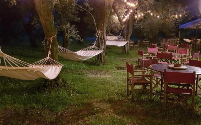 Antico Uliveto