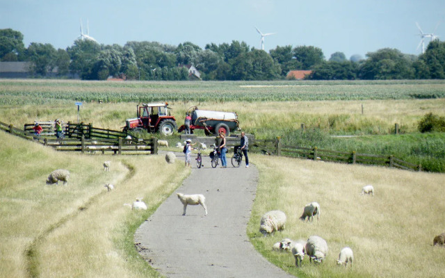 Hanzehuis Appartementen