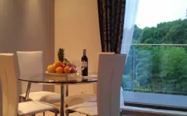 Apartament przy Focha