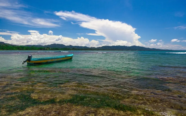 Gigi Brown Suites Puerto Viejo