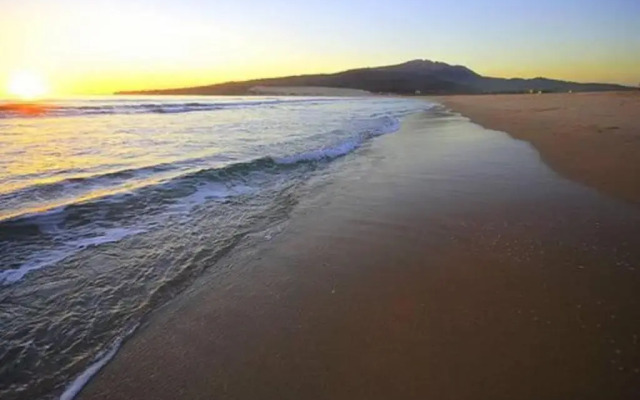 Natural Dream Apartment Blue Wifi