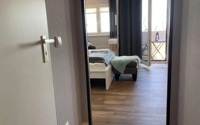 Berolina-412-Sturmvogel