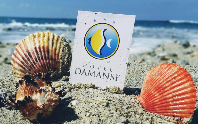 Hotel Damanse