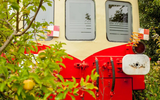 Les Gîtes du Picasso