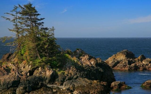 Black Rock Beach House