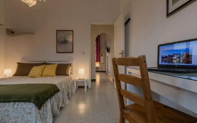 Marco Polo 37 - Crocetta Nest