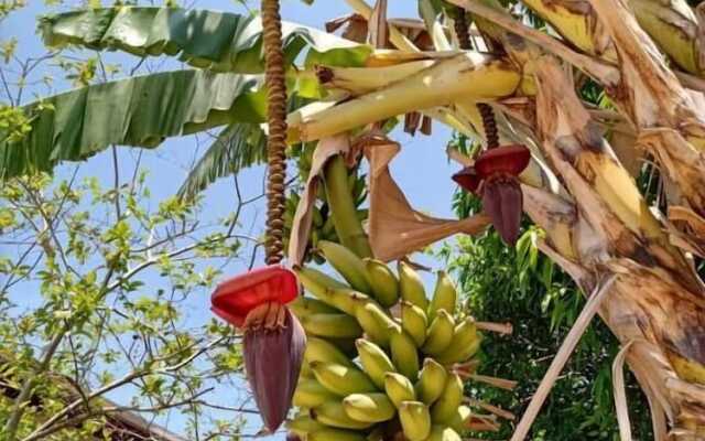 Pousada Casablanca Águas de São Pedro