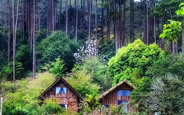 To Chim Ri Homestay Mang Đen