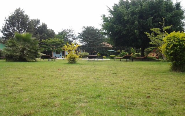 Flamingo Safari Lodge