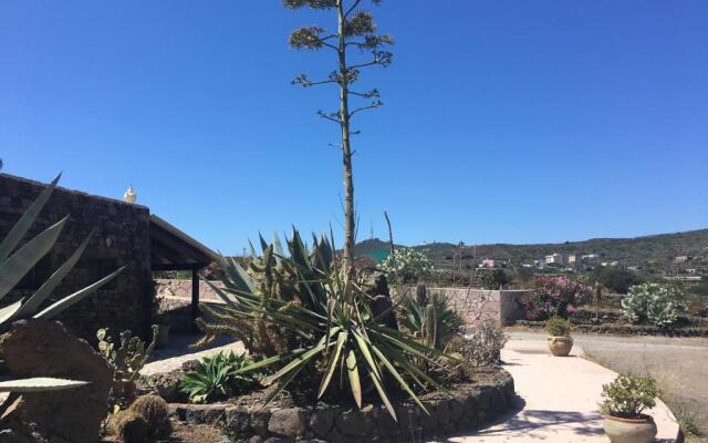 Appartamentino Jasmine