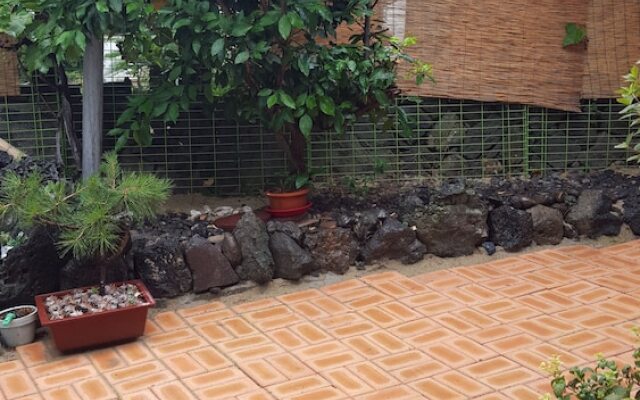 Wellbeing Guesthouse