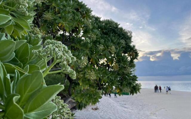 Alafehi Retreat - Private 3-Bedroom Villa with Pool