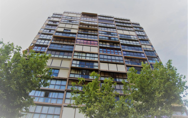 Paraiso XI 1 Alquilevante