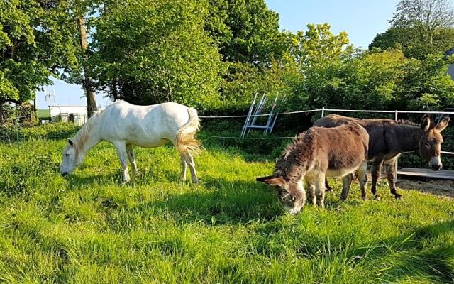 La Bergerie du Mesnil