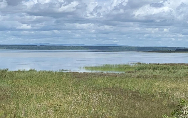 Flamingo Lodge