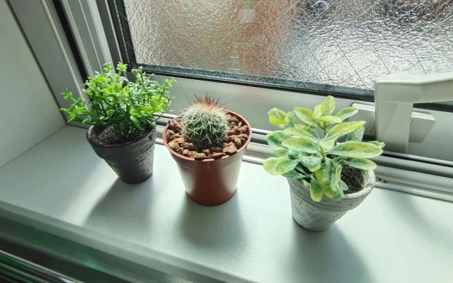 Sun Iki Ichi Ban Kan