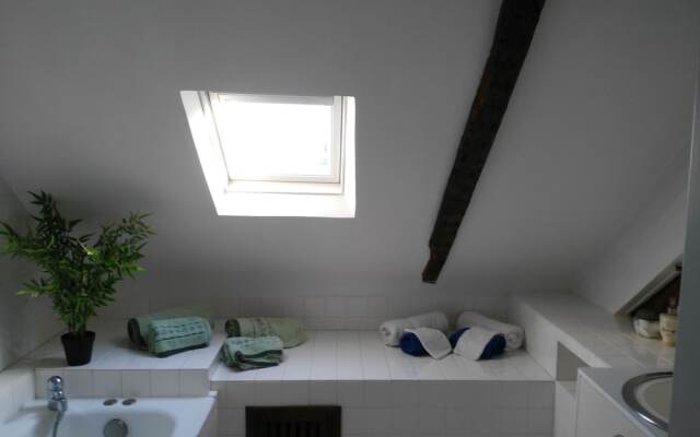 Les Camélias des Demoiselles de Pallus