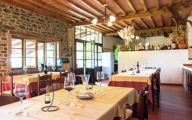 Cosy apartment in the well known Chianti area, with swimming pool and terrace.