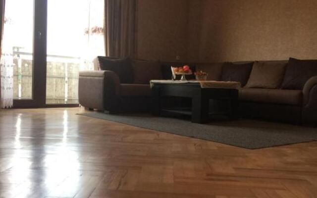 Vip Apartment at Gamrekeli str 1