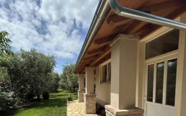 Casa Oliva Kim Marie