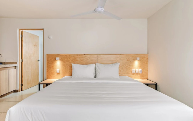 Pájaros by Homirent