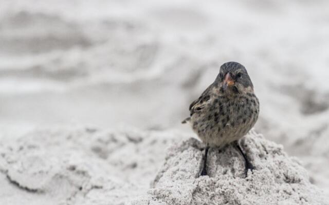 Finch Bay Galapagos Hotel