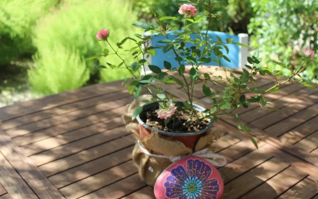 Spiti tou Papa sto Vouno