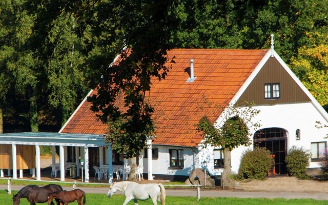 Tidy Chalet With gas Fireplace, in the Achterhoek