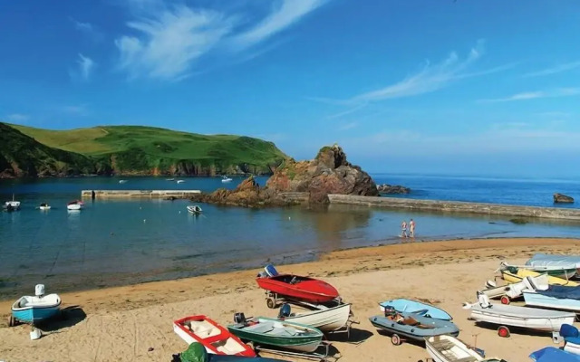 Cove View